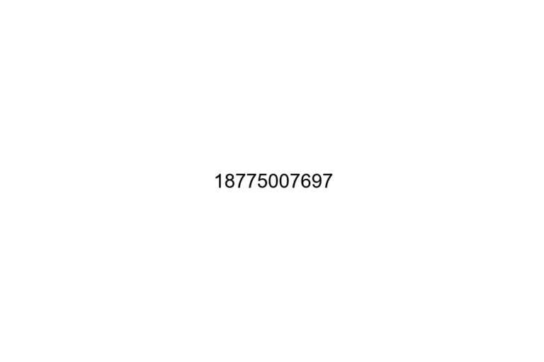 18775007697