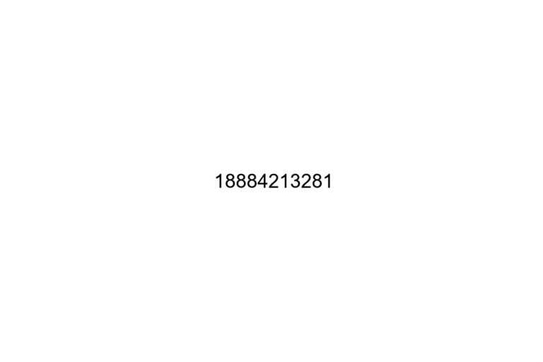 18884213281