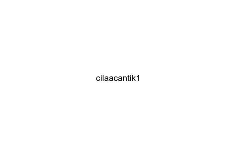 cilaacantik1